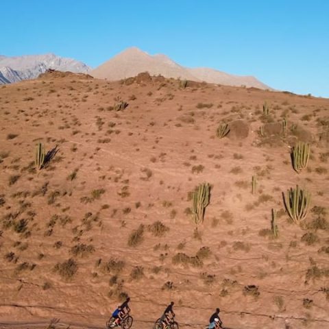 Trekking Kuntur (5) Kuntur Elqui